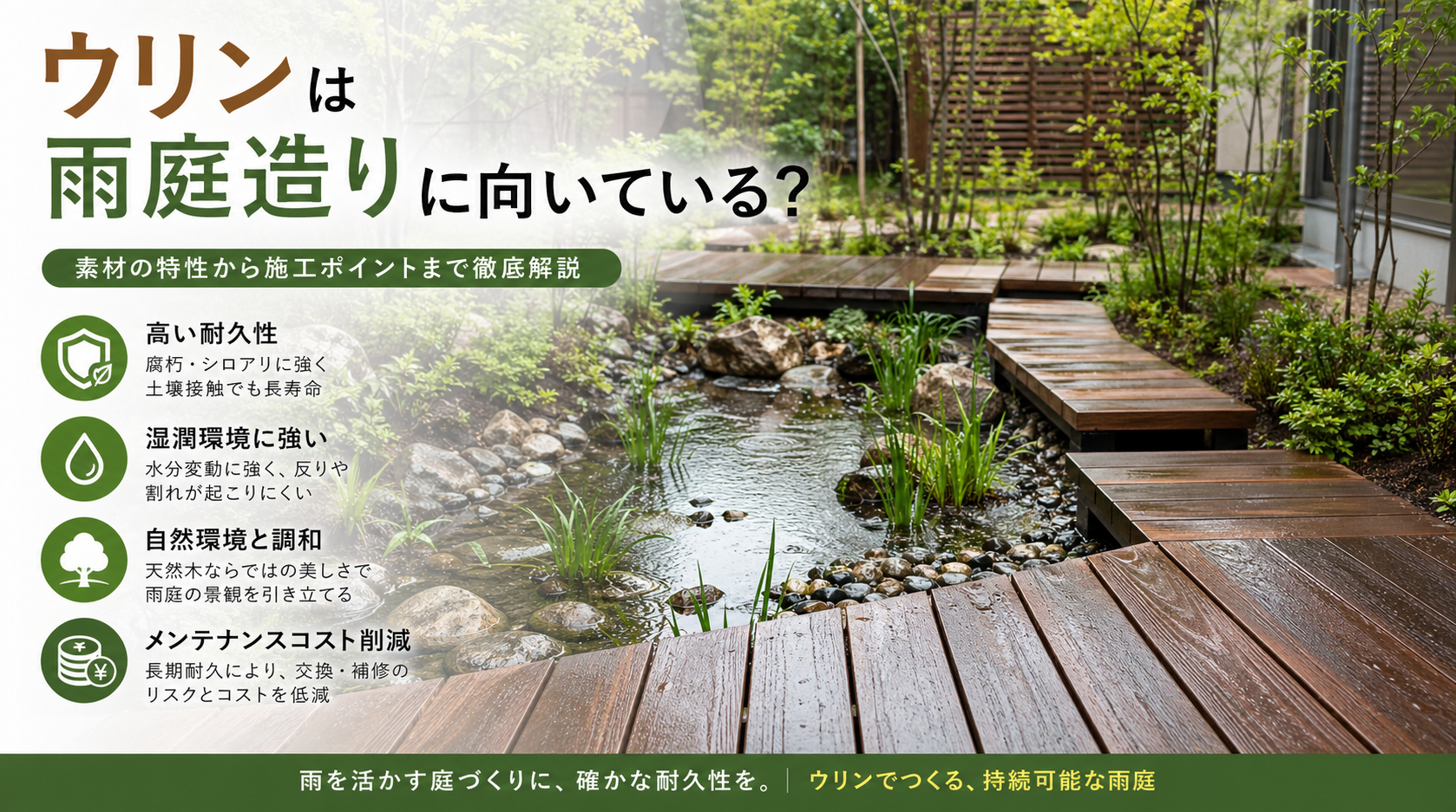 ウリンは雨庭造りに向いている？