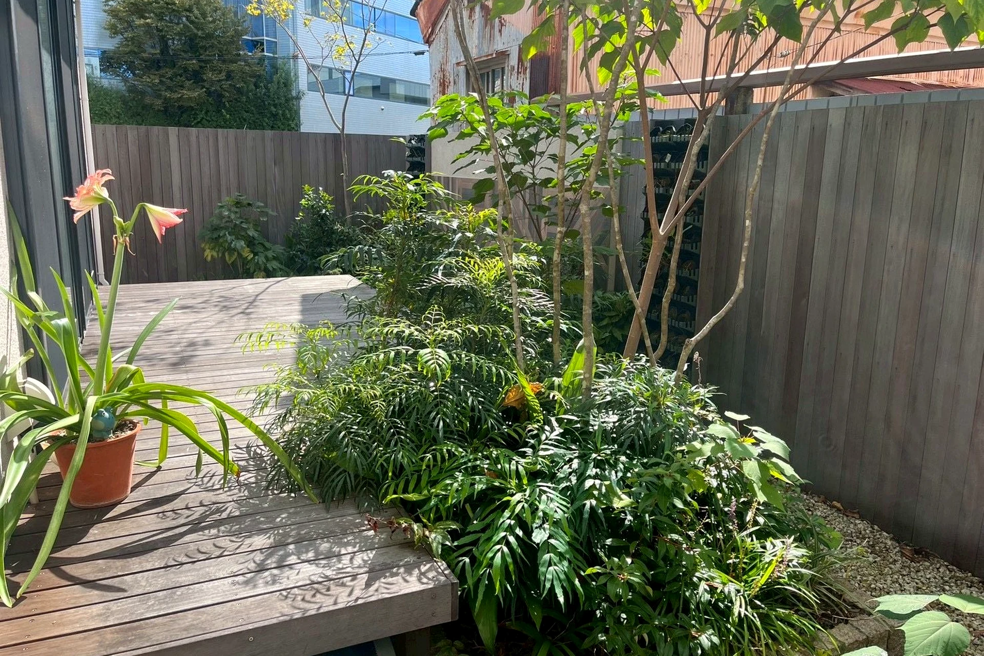 経年変化したウリンデッキと植栽のある庭