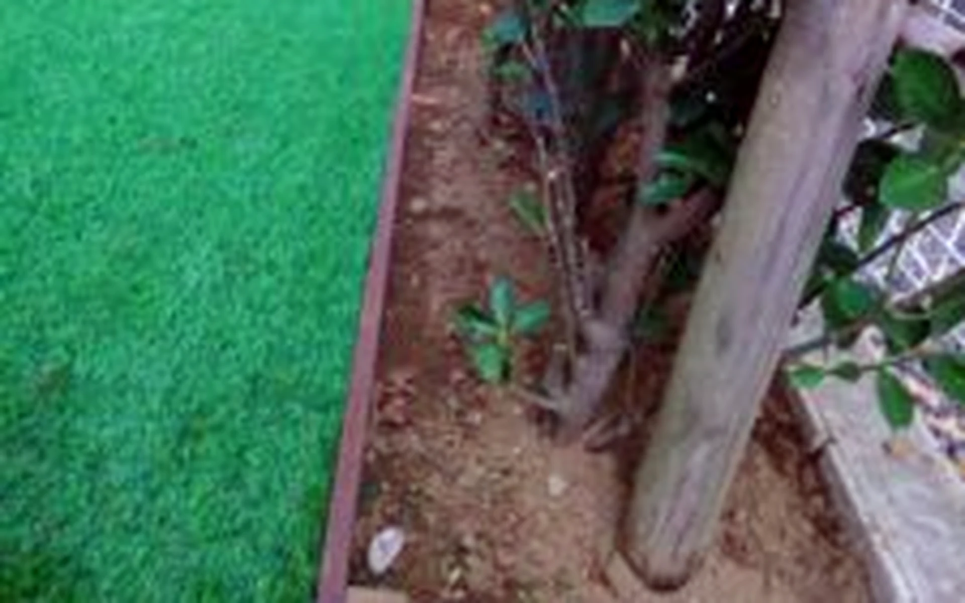 植栽まわりの見切り材として使われたウリン材