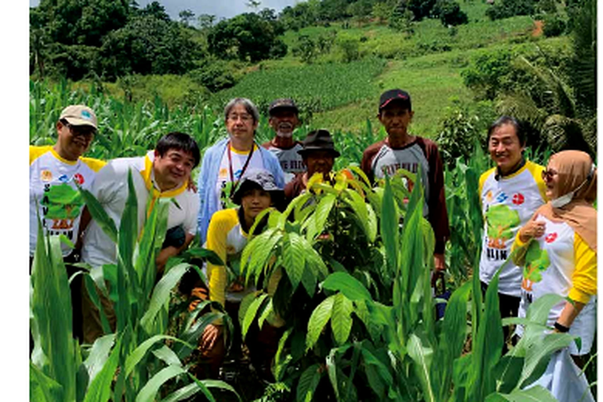 現地でウリン苗木を囲む植林活動の様子