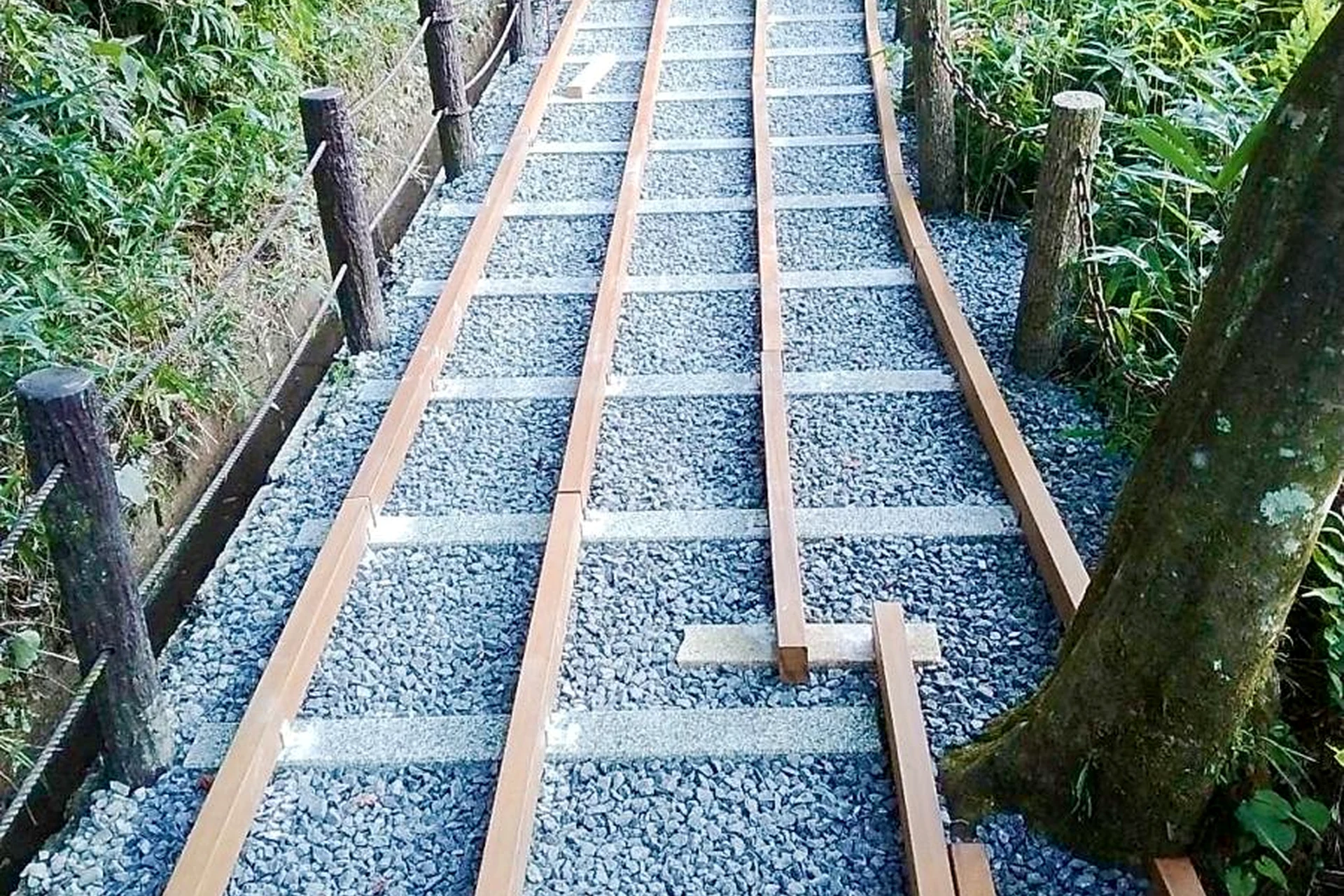 水辺の遊歩道で確認したいウリン材の下地と排水計画