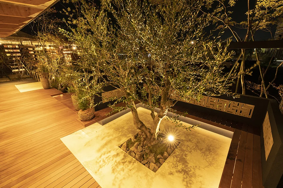 夜間照明で植栽とウリンベンチが浮かび上がる中庭風外構