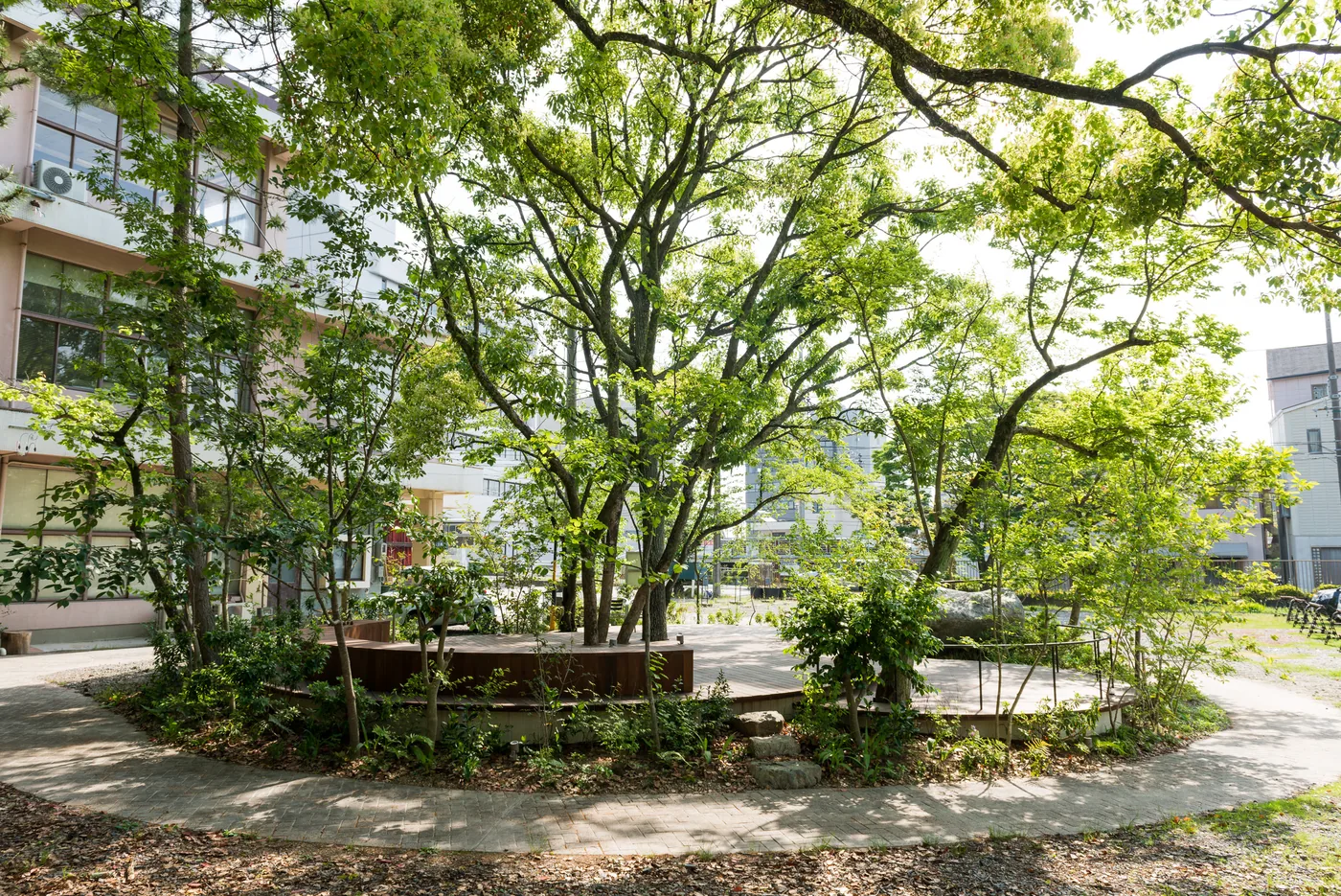 樹木の間を曲線で巡るウリンデッキとベンチを施設の環境とともに見る全景