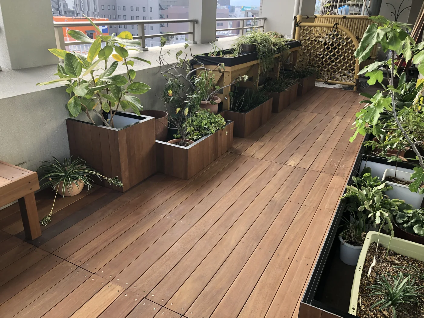 鉢植えに囲まれたウリン床の通路