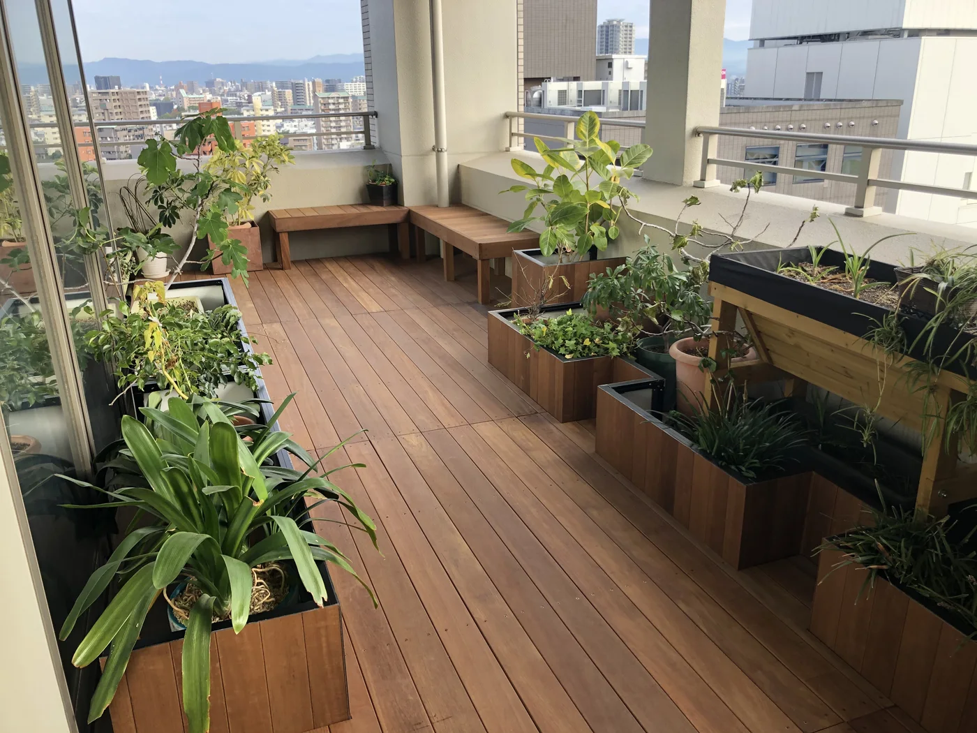 窓側から見る木床と植栽の居場所