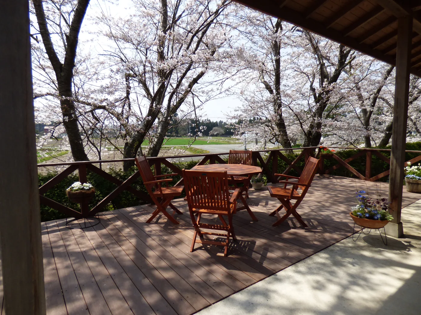 桜の木を正面に望むウリンデッキと屋外ダイニングの全景