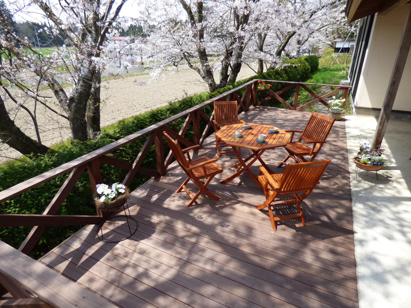 室内側から見渡す桜の庭とウリンデッキの食事空間