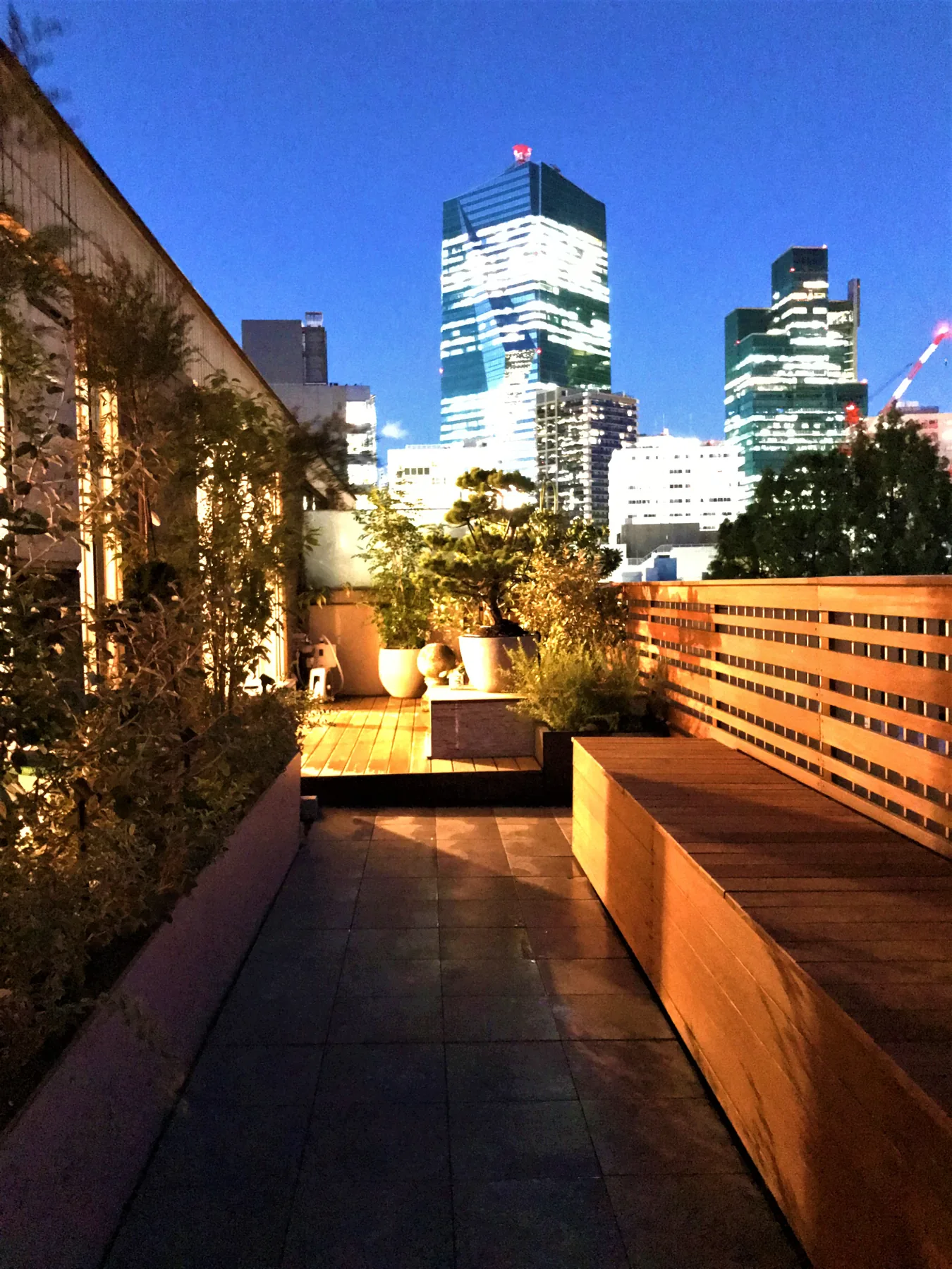 細長い空間の奥まで光と緑が続く夜の眺め