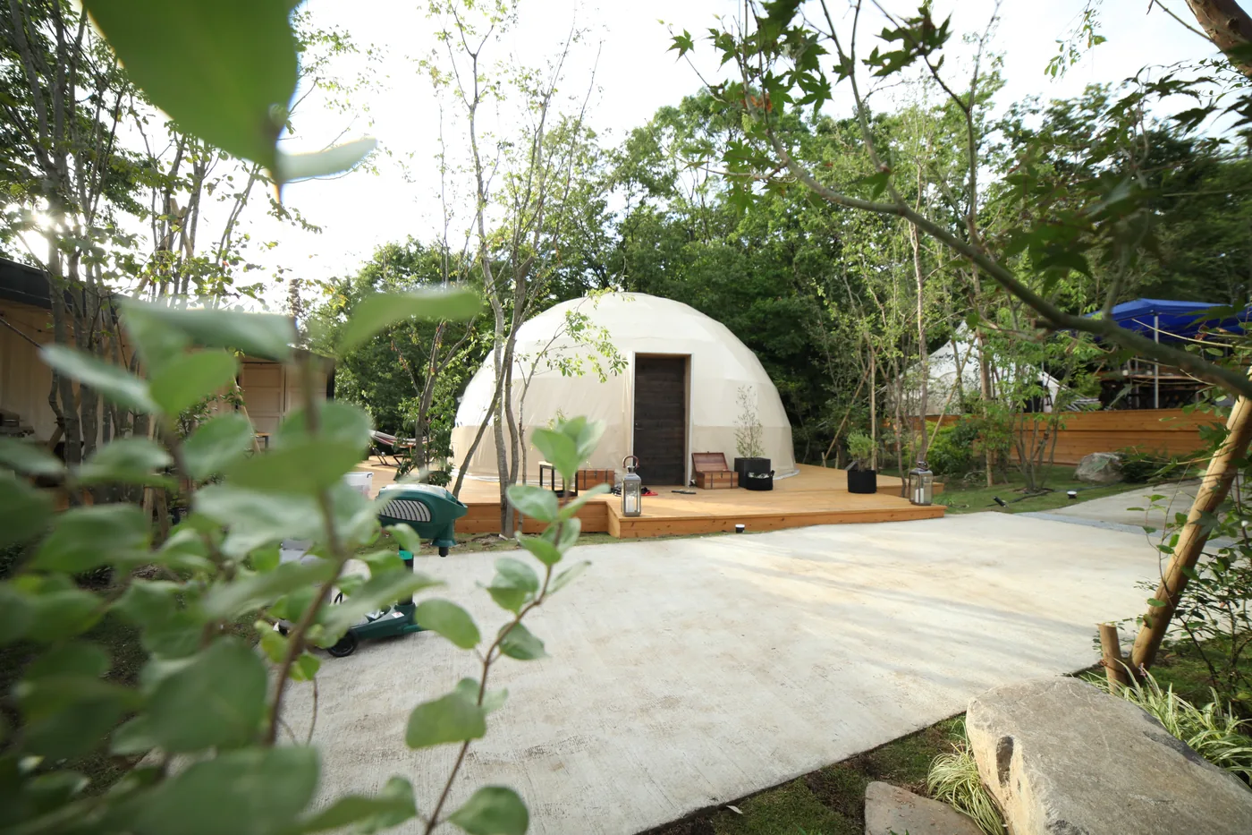 木立の奥に配置されたドームテントと屋外床面
