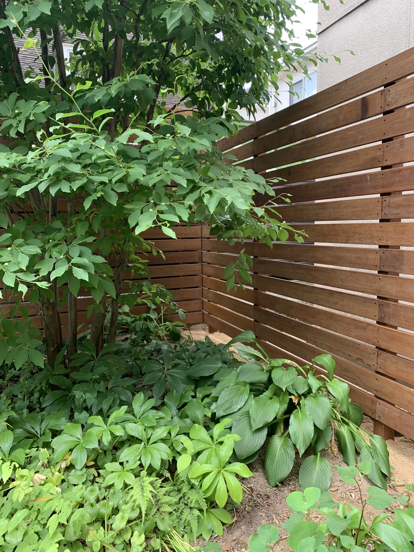 植栽と濃褐色の木肌が重なるプライベートガーデン