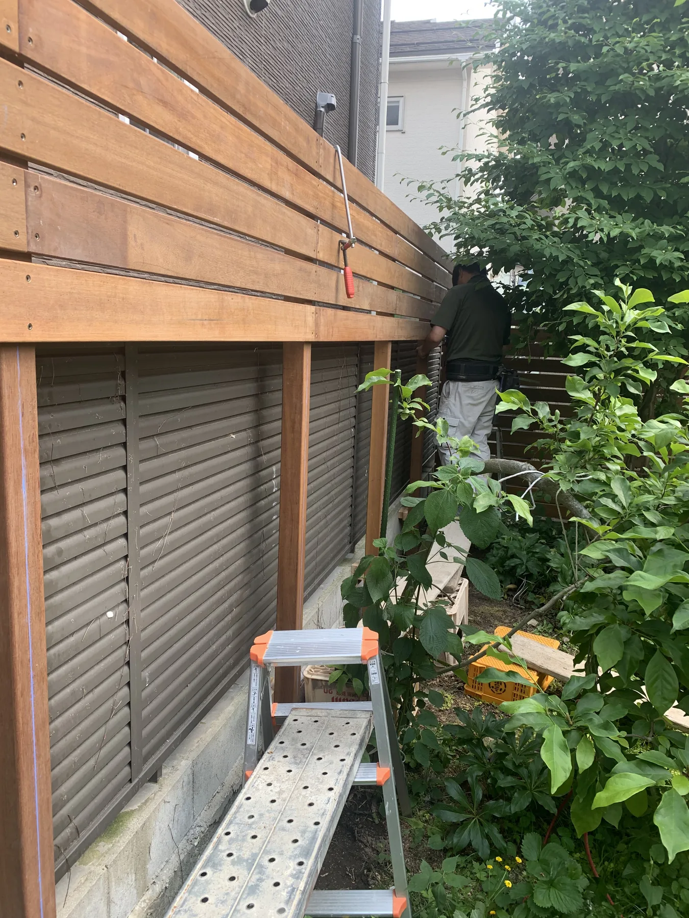 庭木の枝葉越しに見る落ち着いた木の壁