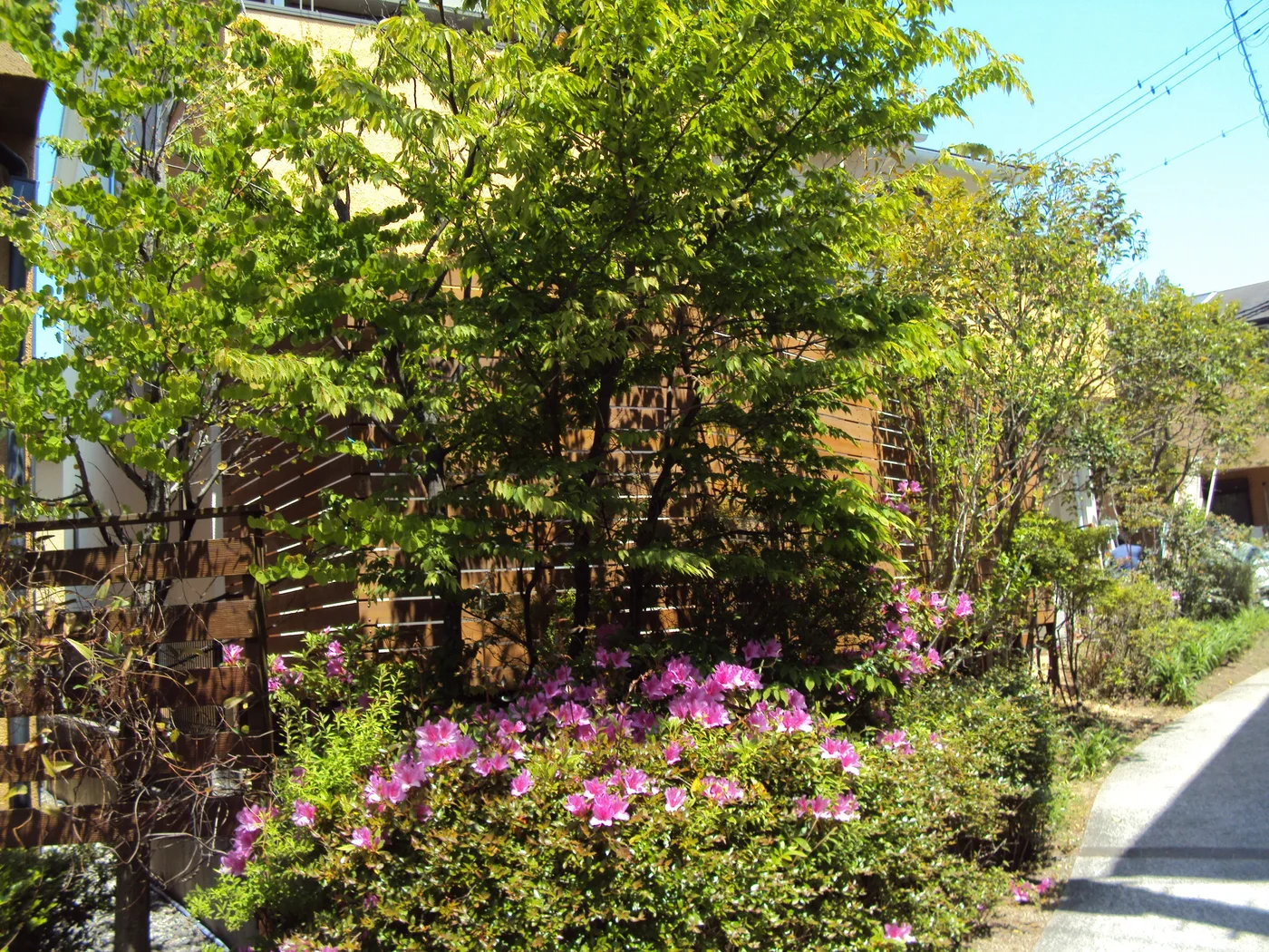 季節の花と横板フェンスを含む庭景