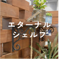 エターナルシェルフ