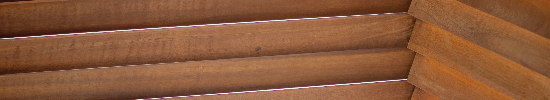 イエシロアリ食害実験