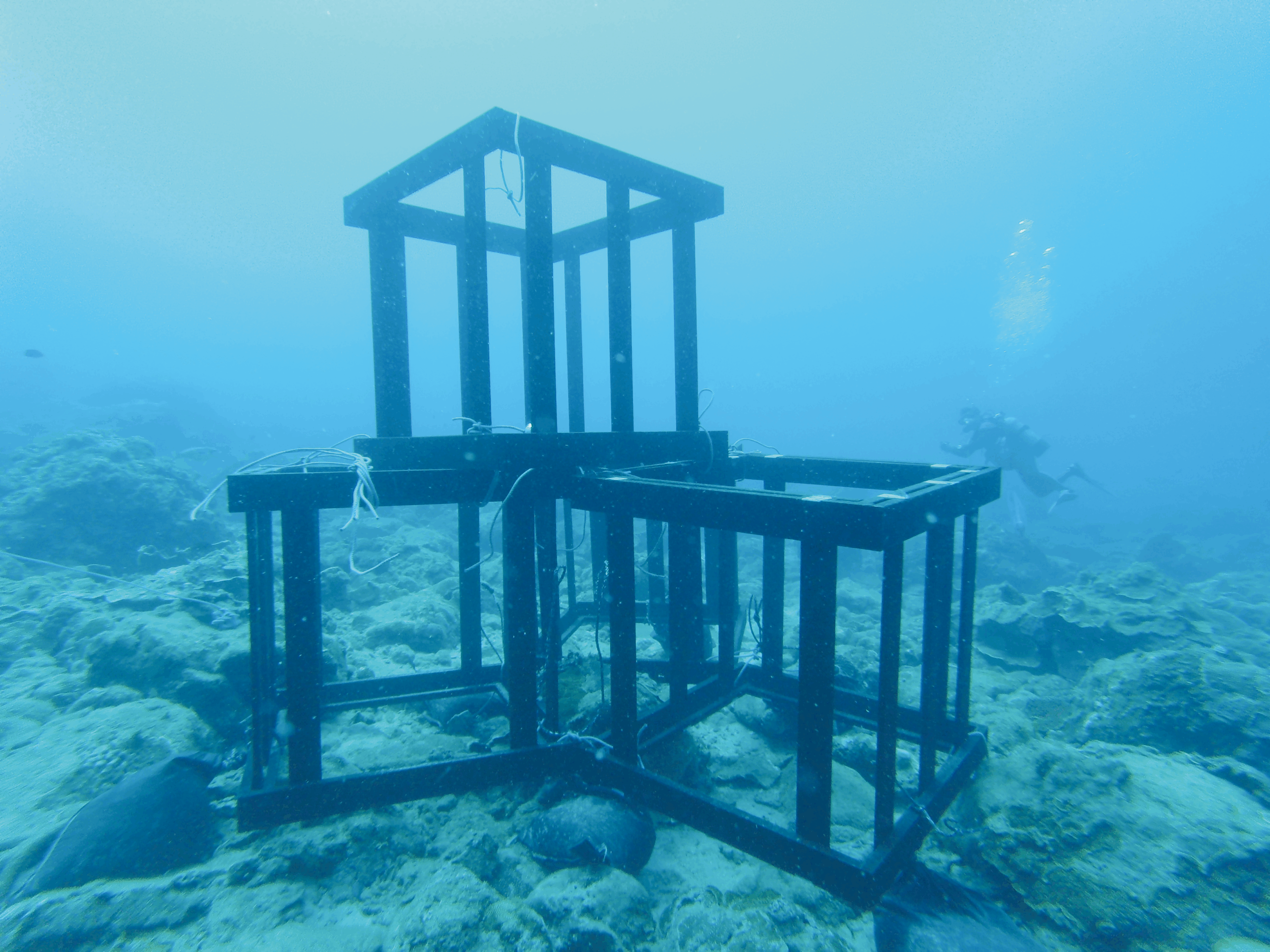 ウリン製魚礁　鹿児島大学共同研究