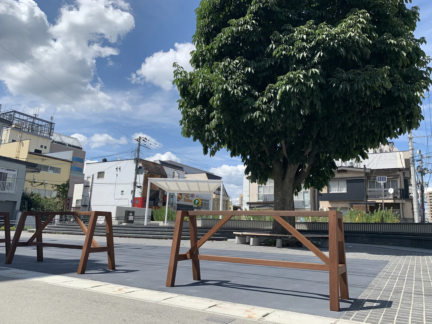 大きな樹木と既存の広場景観の中に置かれた低い木の仕切り
