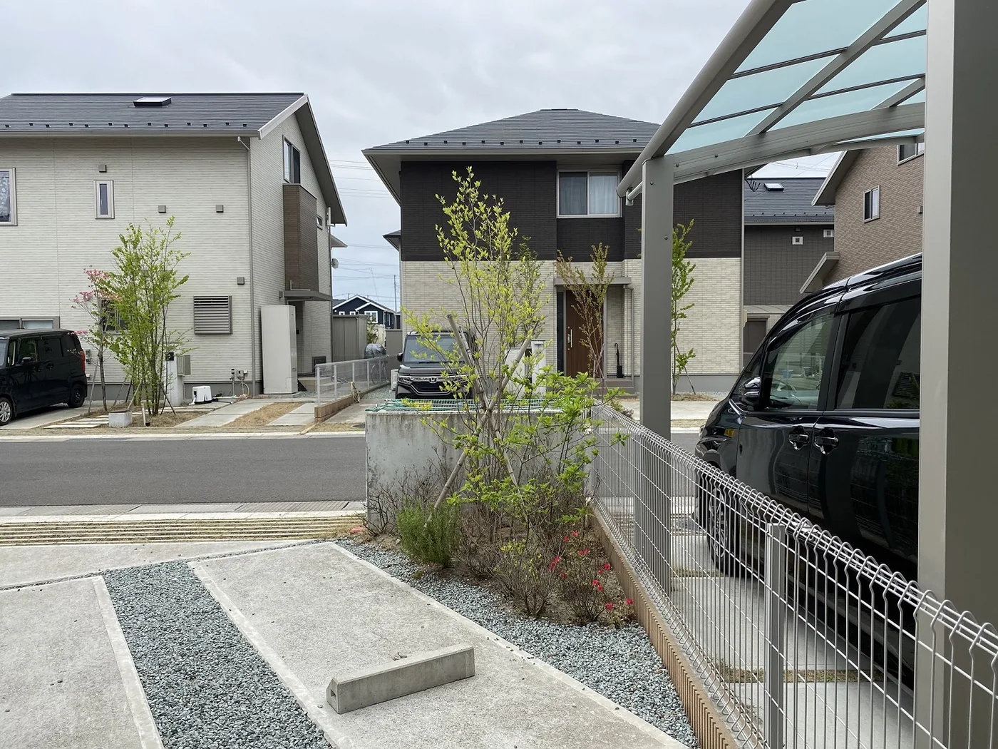 ベンチとフェンスを設ける前の駐車場脇植栽
