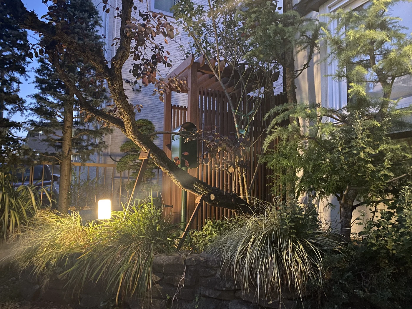 植栽の間から見た夜の門まわり