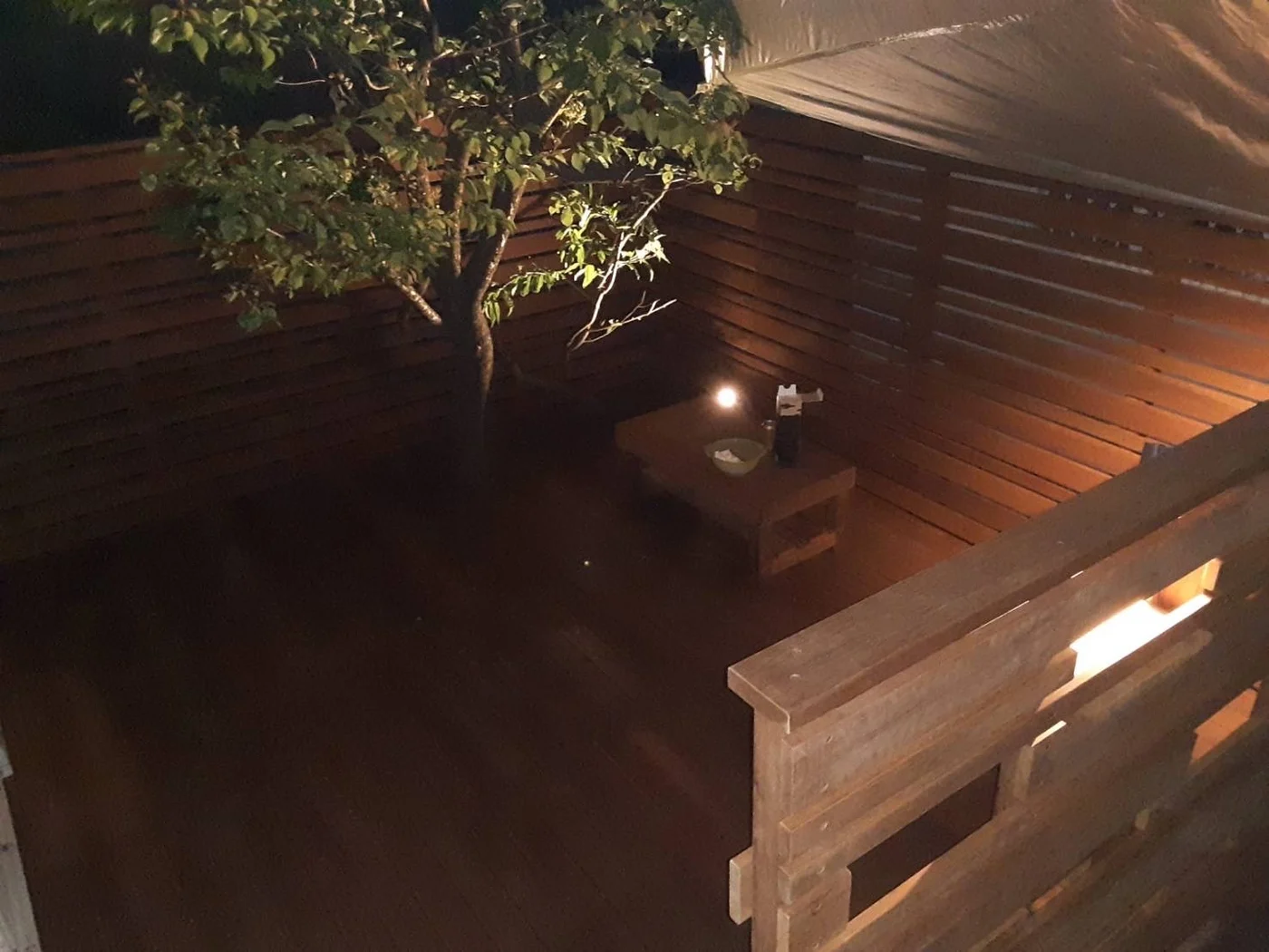 照明の下で庭木とベンチが浮かぶ、囲われたデッキの夜景です