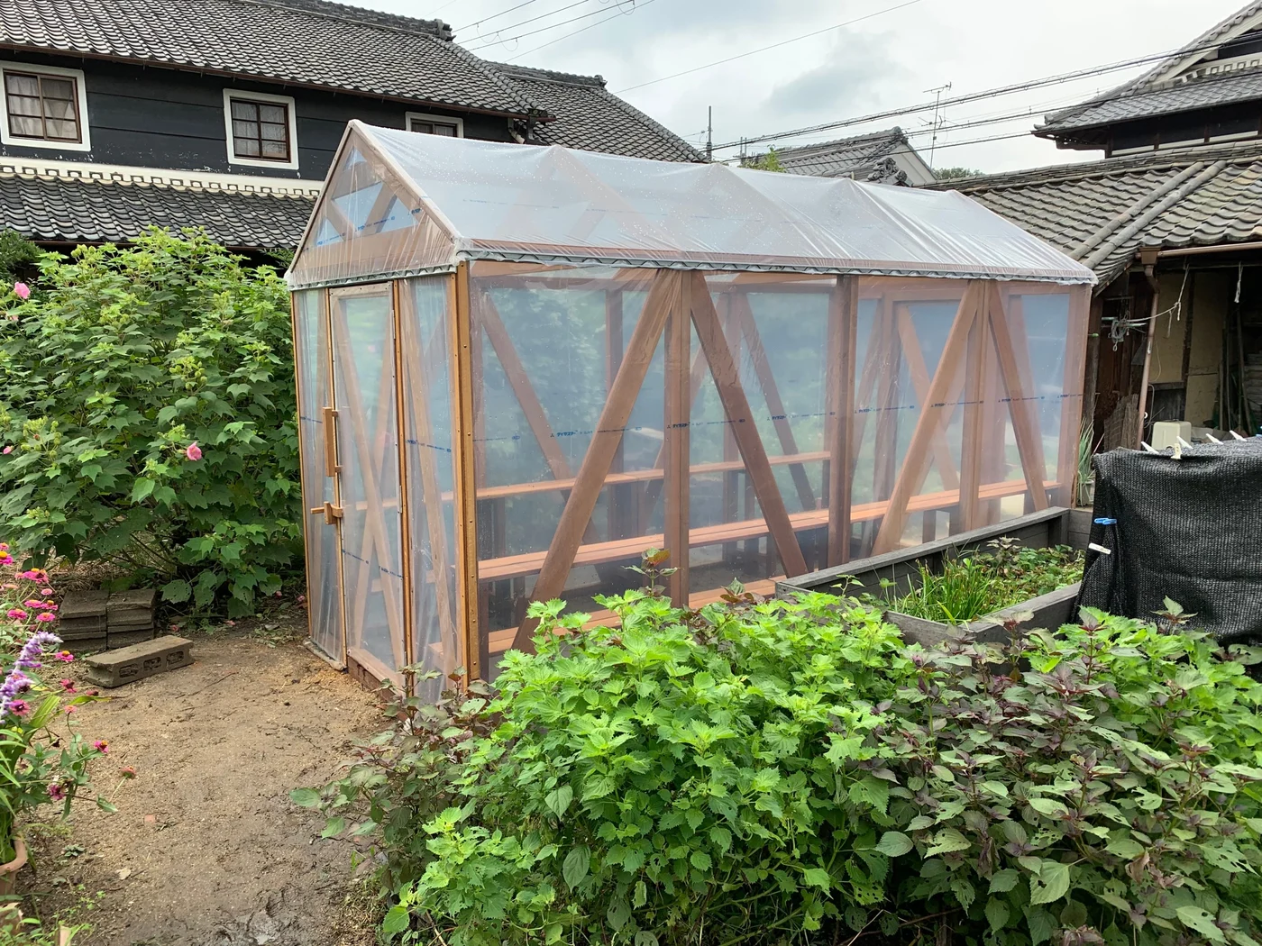 透明感のある被覆材を張った温室の全景